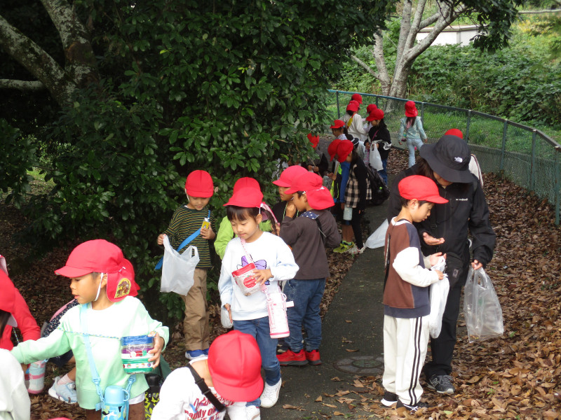 1029１年生ドングリ拾い