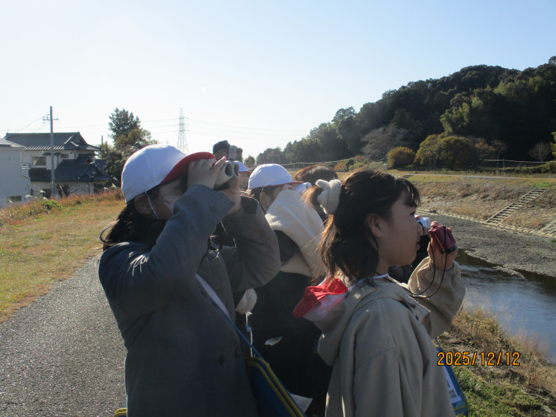 1212野鳥観察