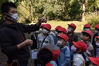 アサギマダラの紹介