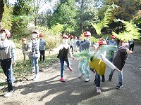 ウラジロの葉のグライダー